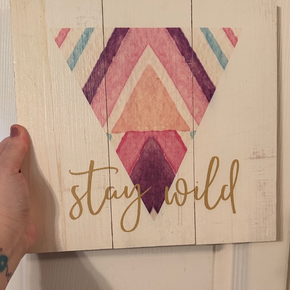 ⭐️⭐️$5  Geometric Wall Art with 'Stay Wild' Quote
